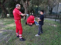 Simulazione 2014